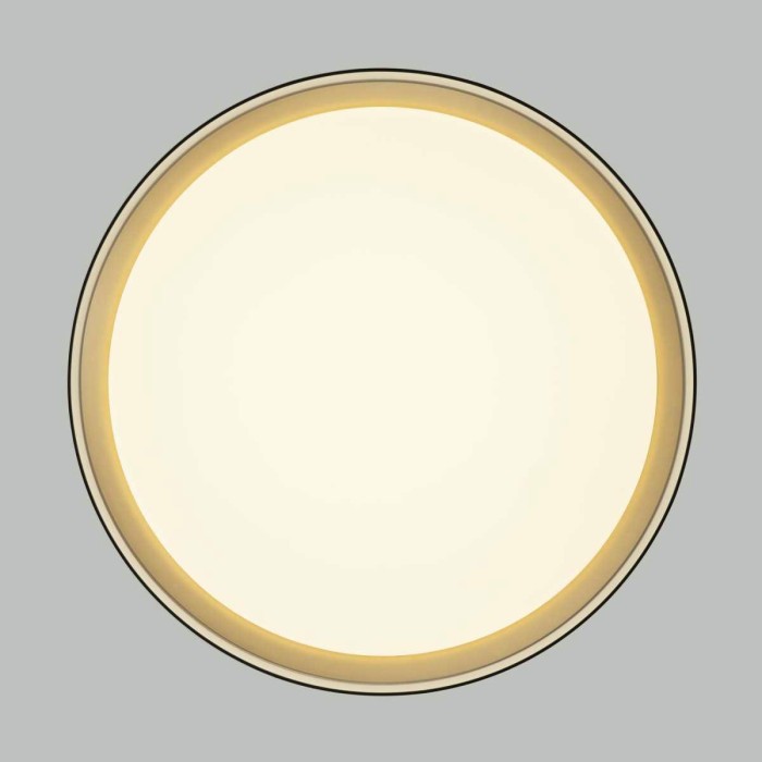 Потолочный светодиодный светильник Citilux Boss CL751351G