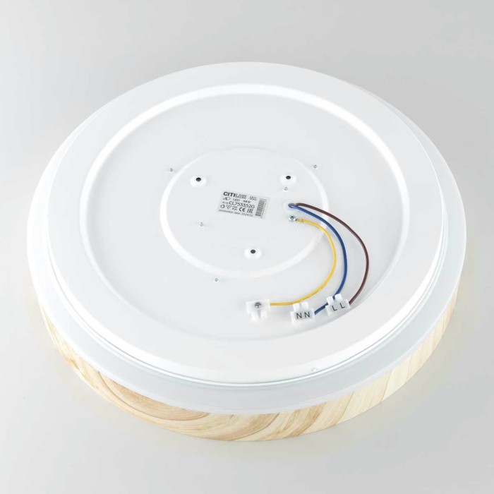 Потолочный светильник Citilux CL753352G