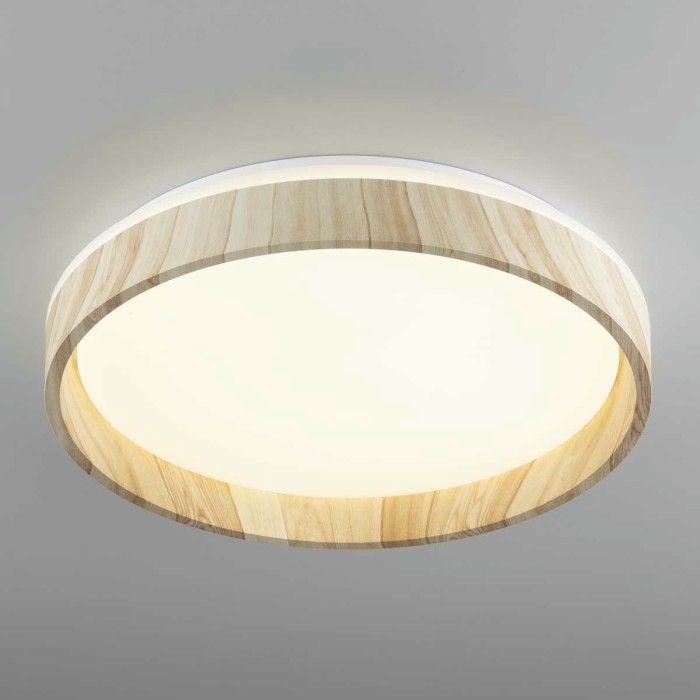 Потолочный светильник Citilux CL753352G