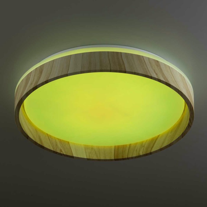 Потолочный светильник Citilux CL753352G