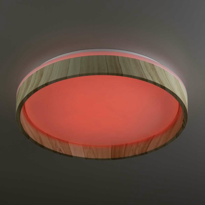 Потолочный светильник Citilux CL753352G