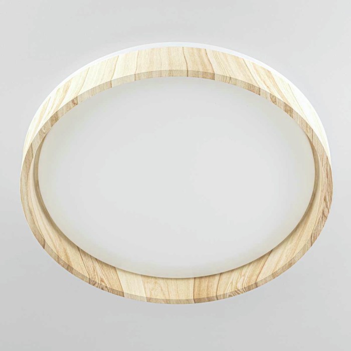 Потолочный светильник Citilux CL753352G