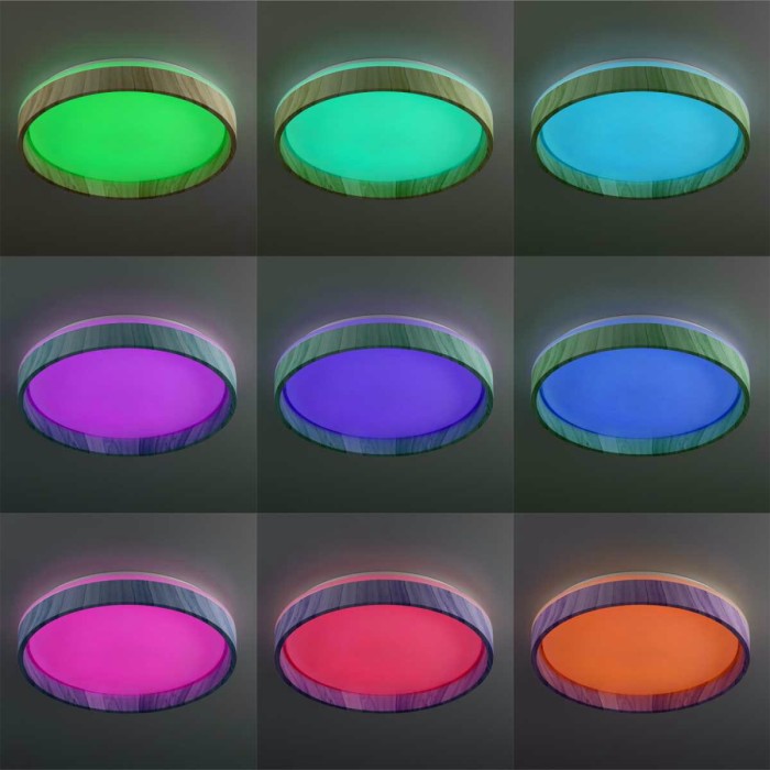 Потолочный светильник Citilux CL753352G