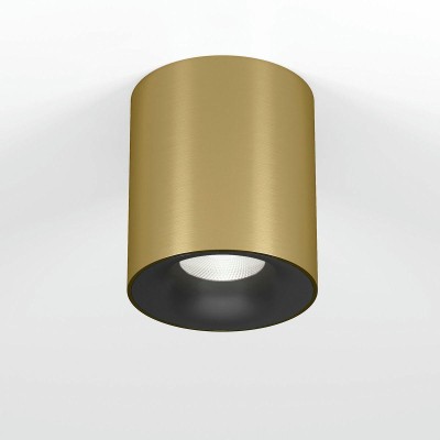 Потолочный светодиодный светильник Elektrostandard Primo 25116/LED a069414