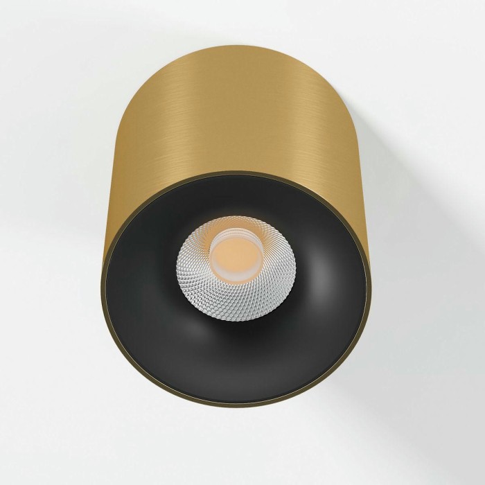 Потолочный светодиодный светильник Elektrostandard Primo 25116/LED a069414