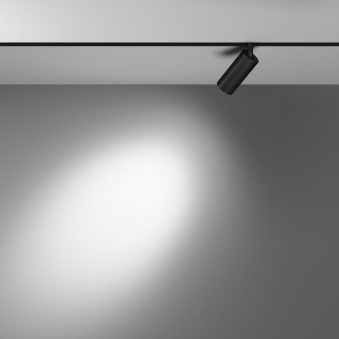 Трековый светодиодный светильник Maytoni Technical Exility Focus Led TR032-2-5W3K-S-B