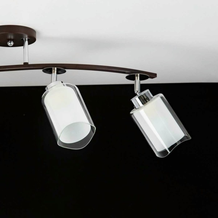 Спот Citilux Фортуна CL156142