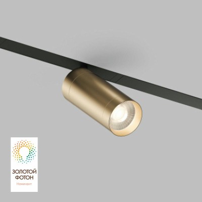 Трековый светодиодный светильник Denkirs Smart Spot DK8020-BG