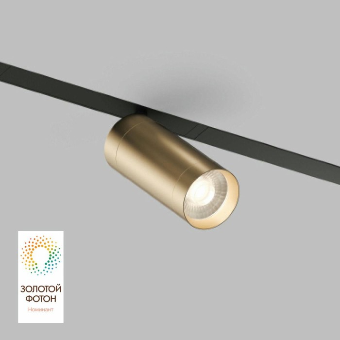 Трековый светодиодный светильник Denkirs Smart Spot DK8020-BG