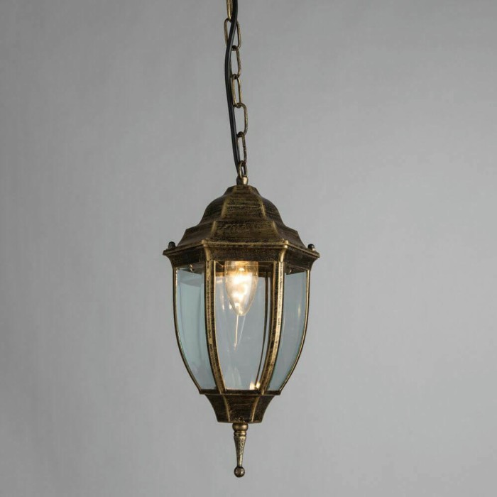 Уличный подвесной светильник Arte Lamp Pegasus A3151SO-1BN