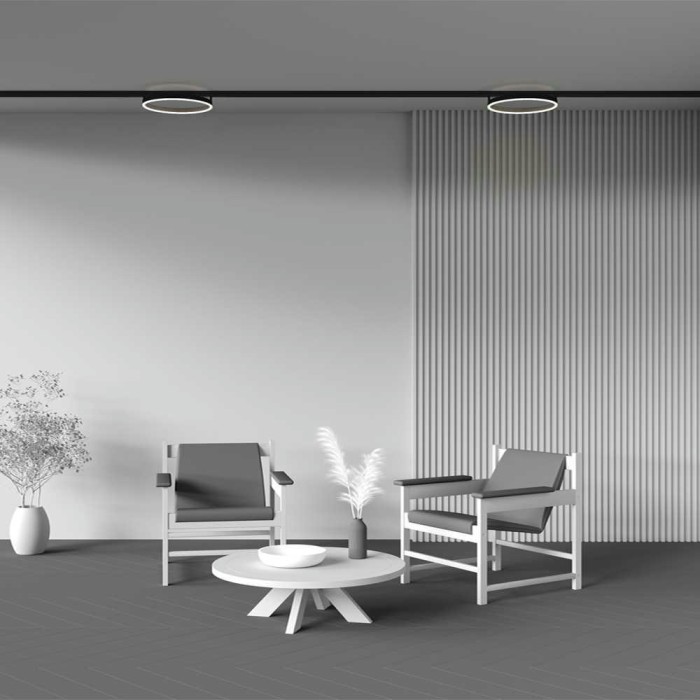 Трековый светильник Maytoni Technical TR227-2-24W4K-B