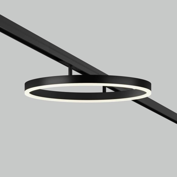 Трековый светильник Maytoni Technical TR227-2-24W4K-B