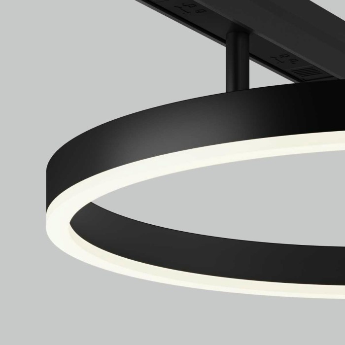 Трековый светильник Maytoni Technical TR227-2-24W4K-B