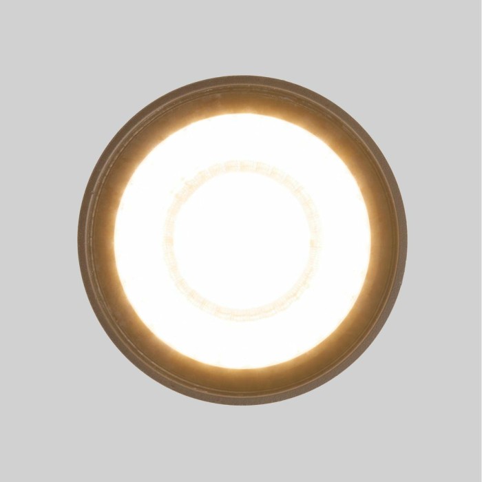 Уличный светодиодный светильник Elektrostandard Light Led 35132/H черный a056231