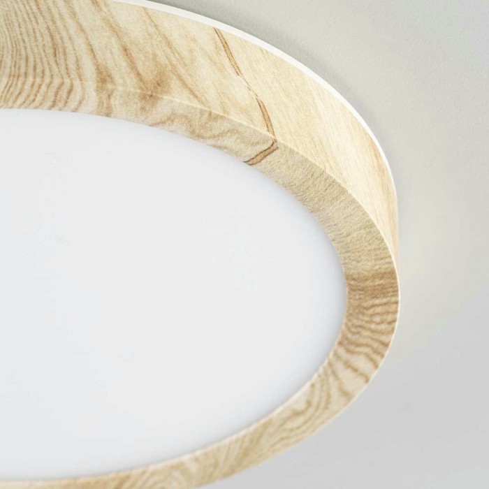 Светильник накладной Citilux Бейсик CL738122N