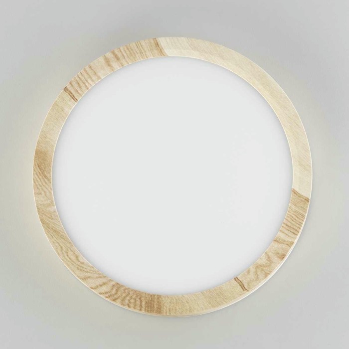 Светильник накладной Citilux Бейсик CL738122N