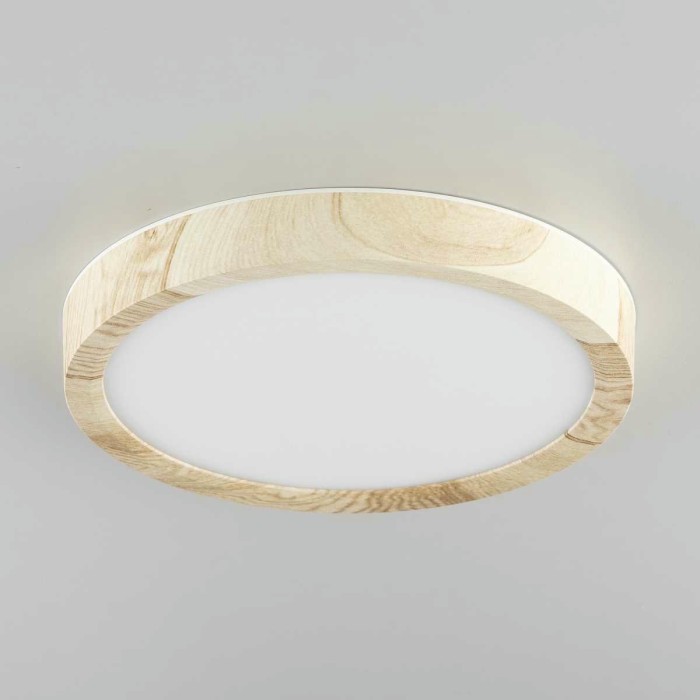 Светильник накладной Citilux Бейсик CL738122N