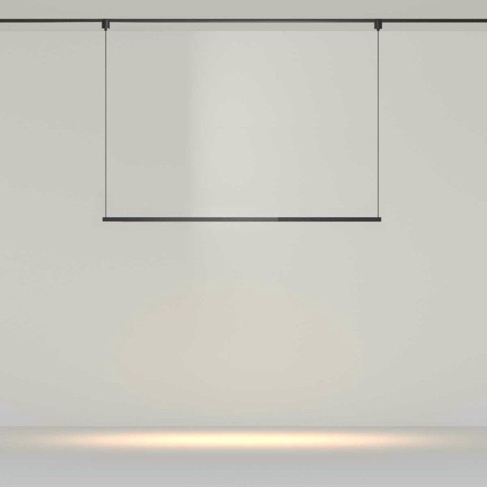 Трековый подвесной светильник Maytoni Technical TR169-1-52W3K-M-B