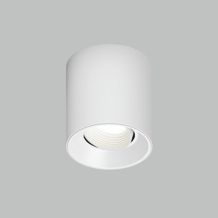 Накладной светильник Denkirs Rodvig DK3090-WH