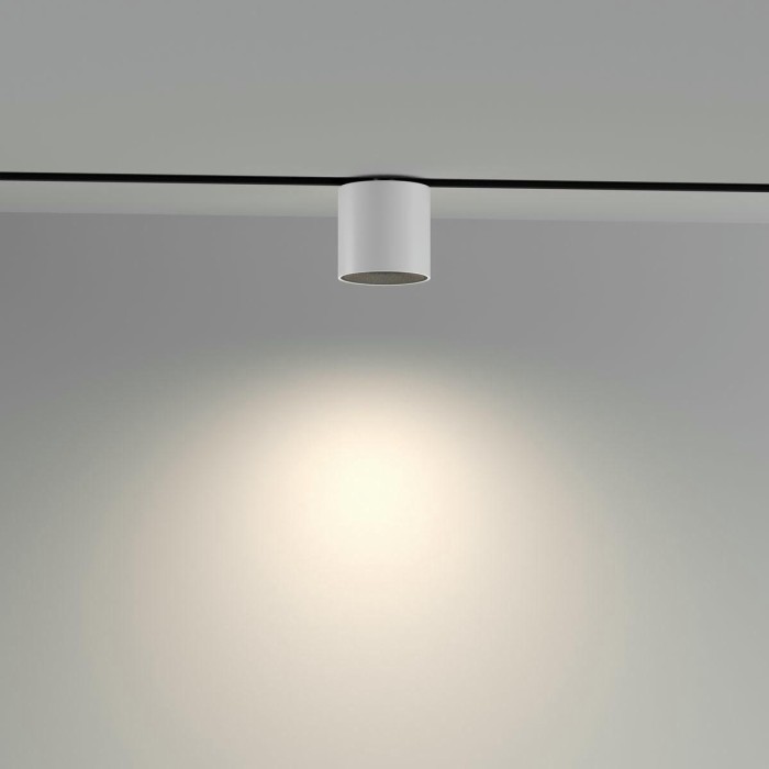 Трековый светодиодный светильник Maytoni Technical Exility Alfa S TR132-4-7W-DS-W