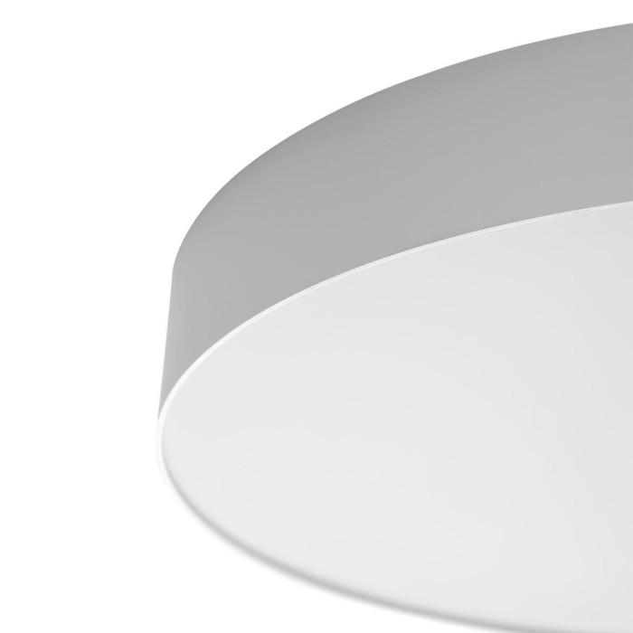 Светильник потолочный Citilux BART CL755490