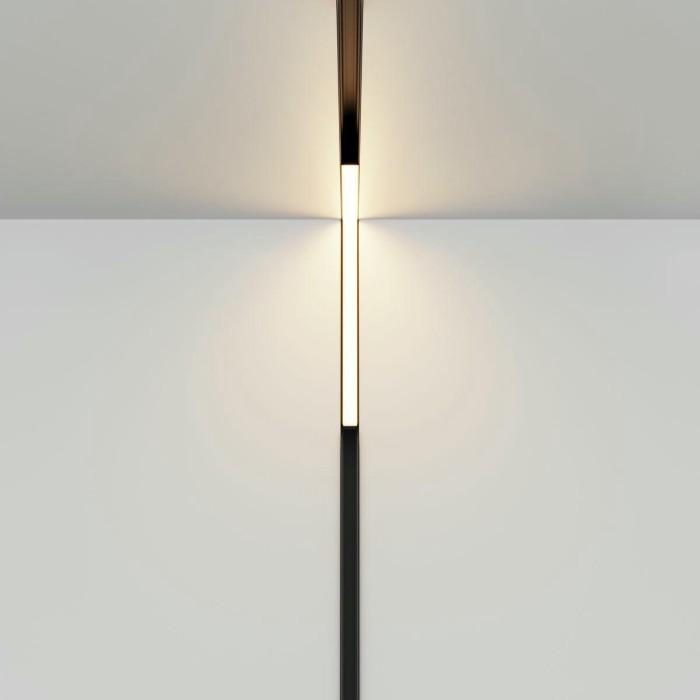 Трековый светодиодный светильник Maytoni Technical Exility Basis Angle TR102-24W-DS-B