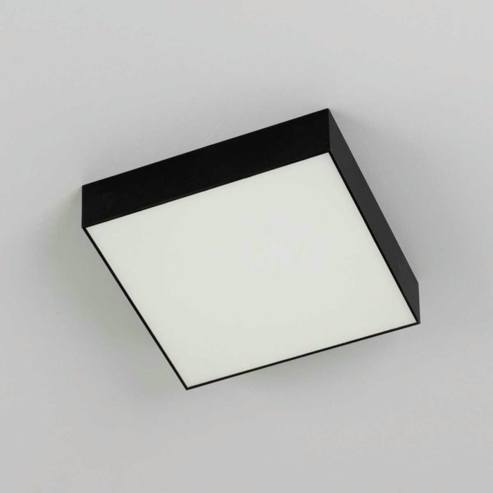 Накладной светодиодный светильник Citilux Тао CL712X182N