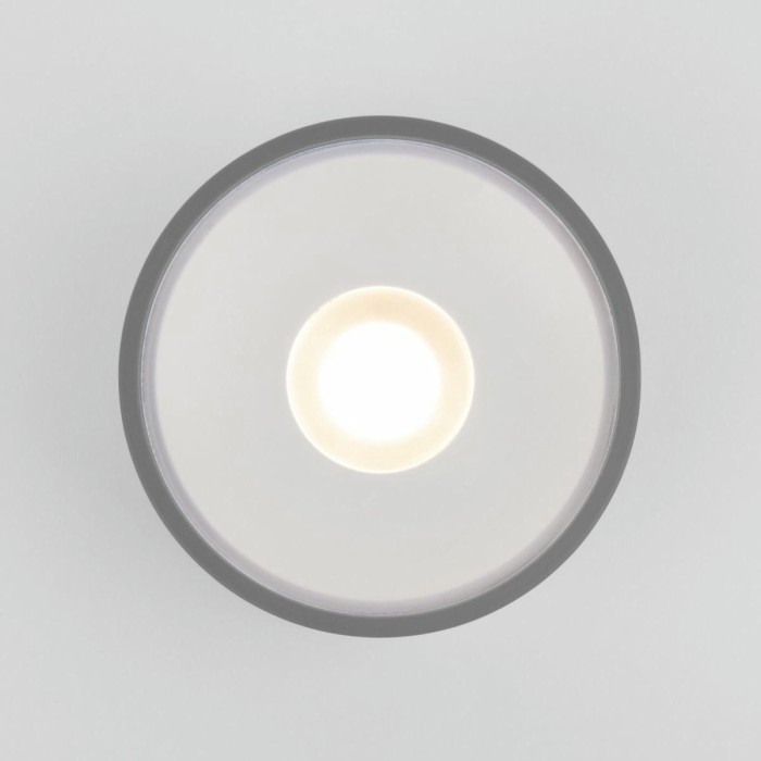 Уличный светодиодный светильник Elektrostandard Light Led 35141/H серый a057472