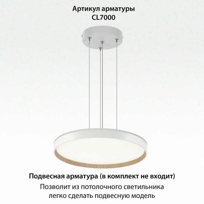 Потолочный светодиодный светильник Citilux Etalon CL750400R