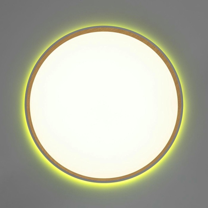 Потолочный светодиодный светильник Citilux Etalon CL750400R