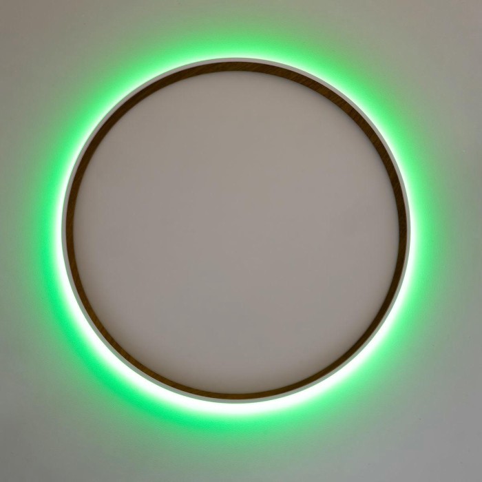 Потолочный светодиодный светильник Citilux Etalon CL750400R