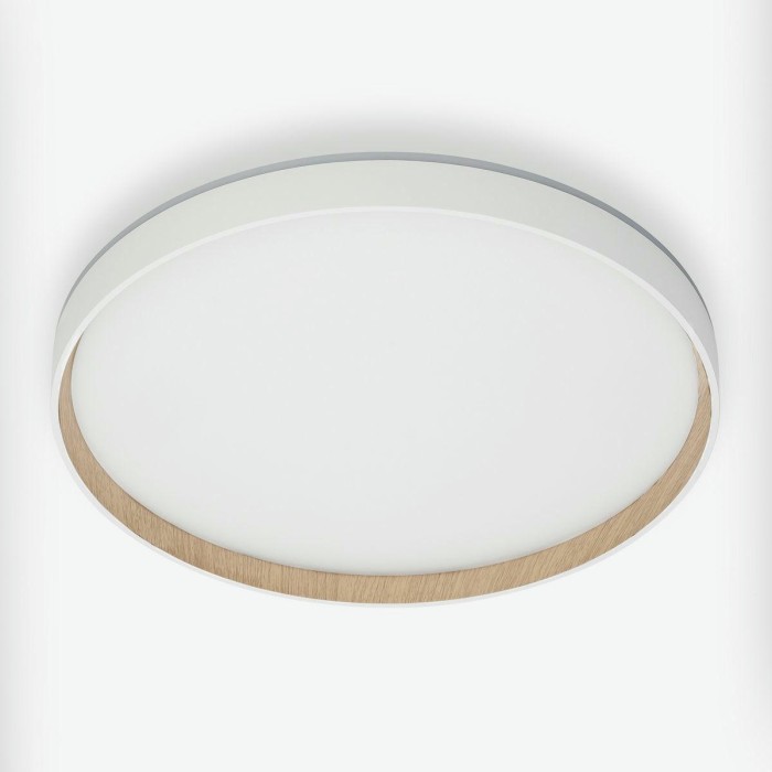 Потолочный светодиодный светильник Citilux Etalon CL750400R