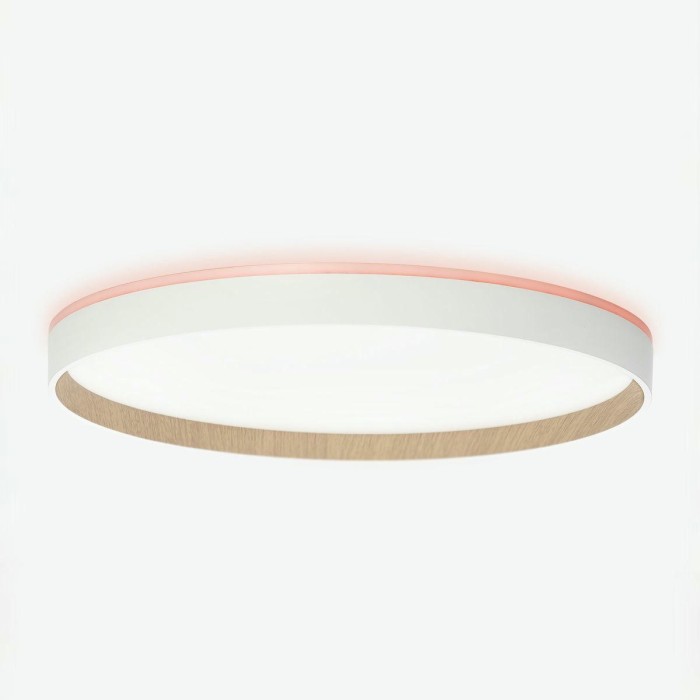 Потолочный светодиодный светильник Citilux Etalon CL750400R