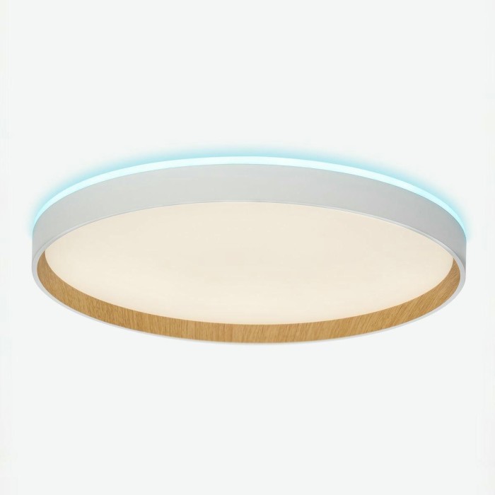 Потолочный светодиодный светильник Citilux Etalon CL750400R