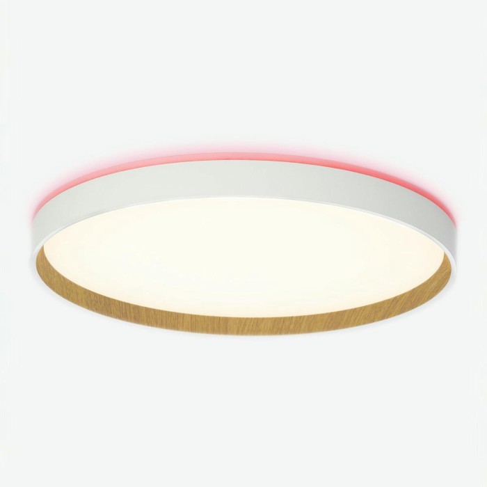 Потолочный светодиодный светильник Citilux Etalon CL750400R