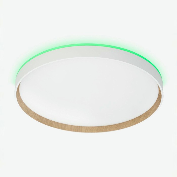 Потолочный светодиодный светильник Citilux Etalon CL750400R