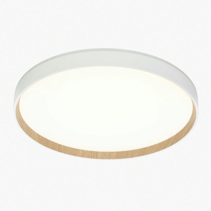 Потолочный светодиодный светильник Citilux Etalon CL750400R