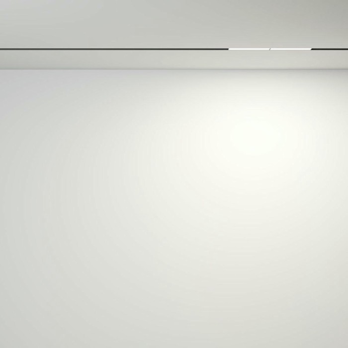 Трековый светодиодный светильник Maytoni Technical Exility Parete TR106-2-12W4K-B