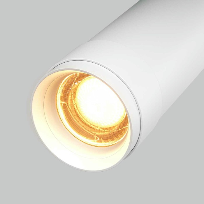 Потолочный светильник Maytoni Technical C055CL-L12W2.7K-Z-W