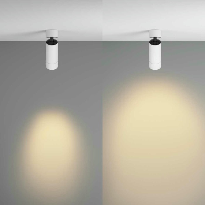 Потолочный светильник Maytoni Technical C055CL-L12W2.7K-Z-W