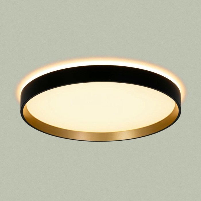 Светильник с пультом Citilux ETALON CL750321R