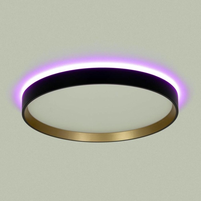 Светильник с пультом Citilux ETALON CL750321R