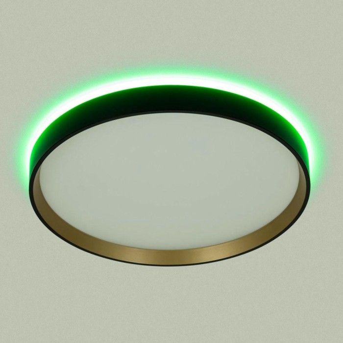 Светильник с пультом Citilux ETALON CL750321R