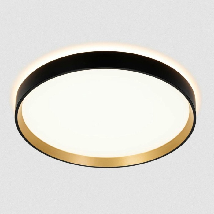 Светильник с пультом Citilux ETALON CL750321R